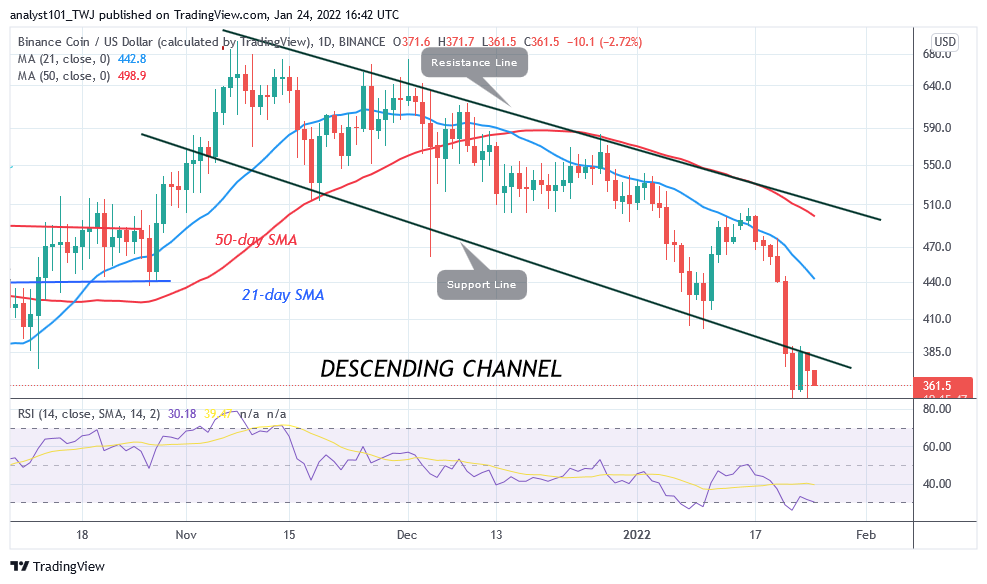 BNBUSDDaily-Chart