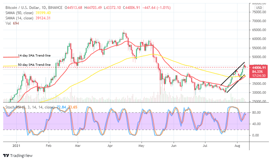 BTCUSDCHARTAUG09