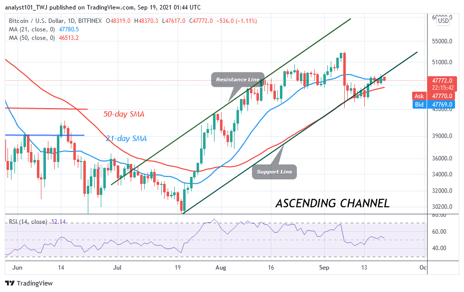 BTCUSDDaily-Chart-