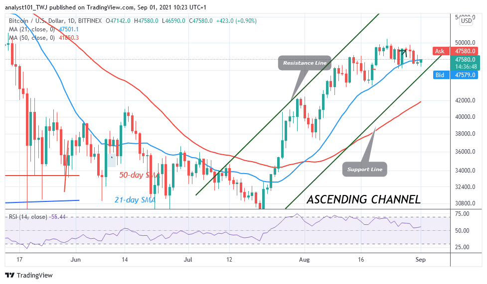 BTCUSDDaily-Chart-1-1