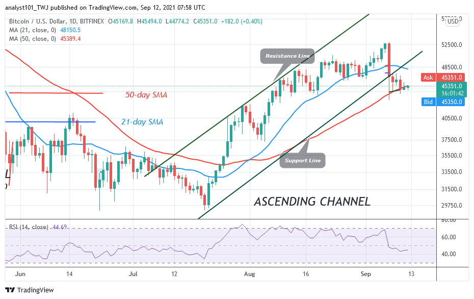 BTCUSDDaily-Chart-2-1-1