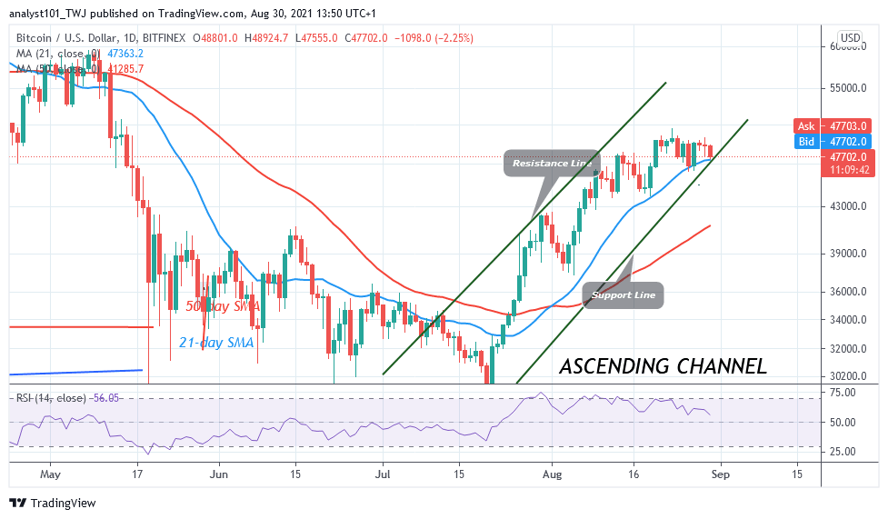 BTCUSDDaily-Chart-2