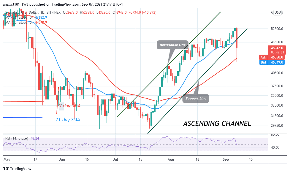 BTCUSDDaily-Chart-3-1