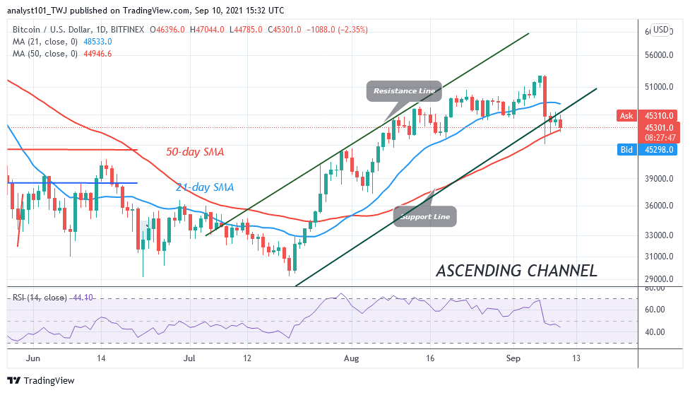 BTCUSDDaily-Chart-4-1