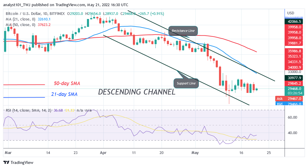 BTCUSDDaily-Chart-5-6