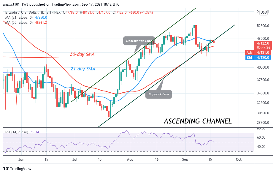 BTCUSDDaily-Chart-6