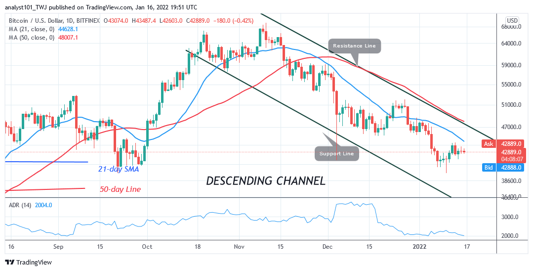 BTCUSDDaily-Chart-7-3