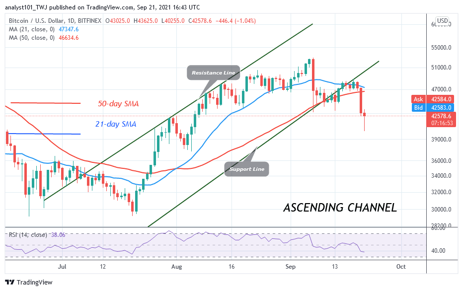 BTCUSDDaily-Chart-7