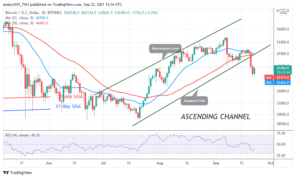 BTCUSDDaily-Chart-8