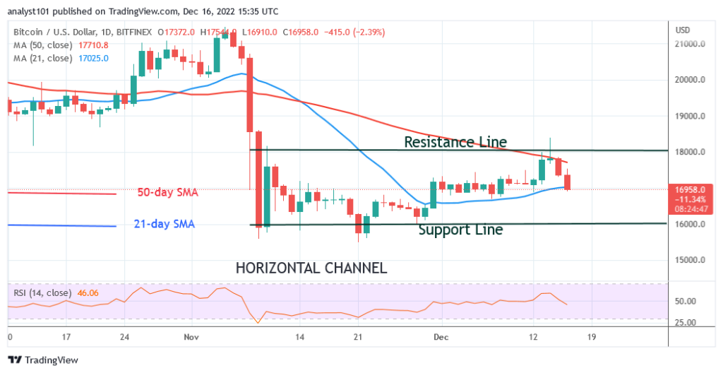 BTCUSDDaily-Chart-December-16-1024x528-1