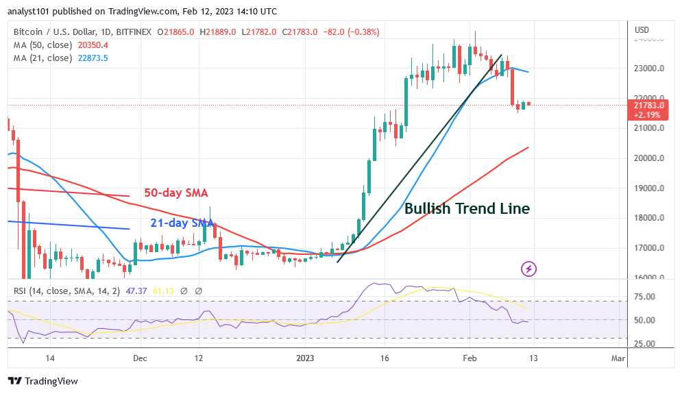 BTCUSDDaily-Chart-February-12