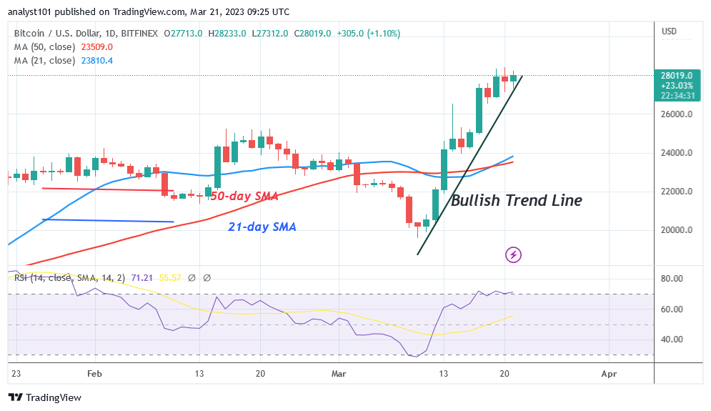 BTCUSDDaily-Chart-March-21