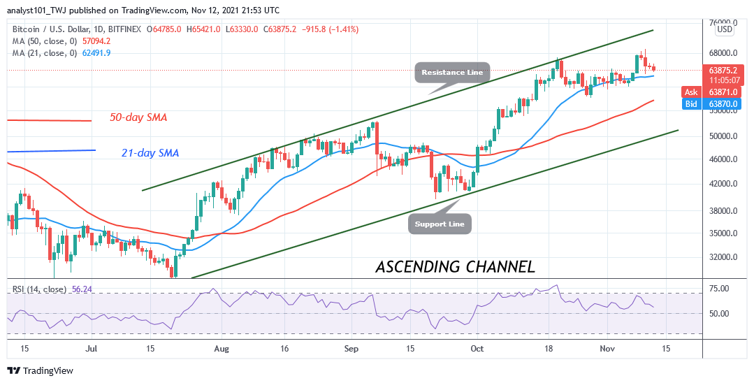 BTCUSDDaily-Chart-NOV.12