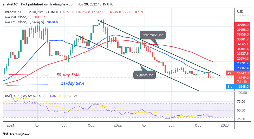 BTCUSDWeekly-Chart-November-20