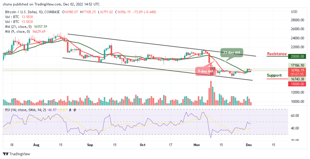 BTCUSD_1D_01122022-1-1024x526-1