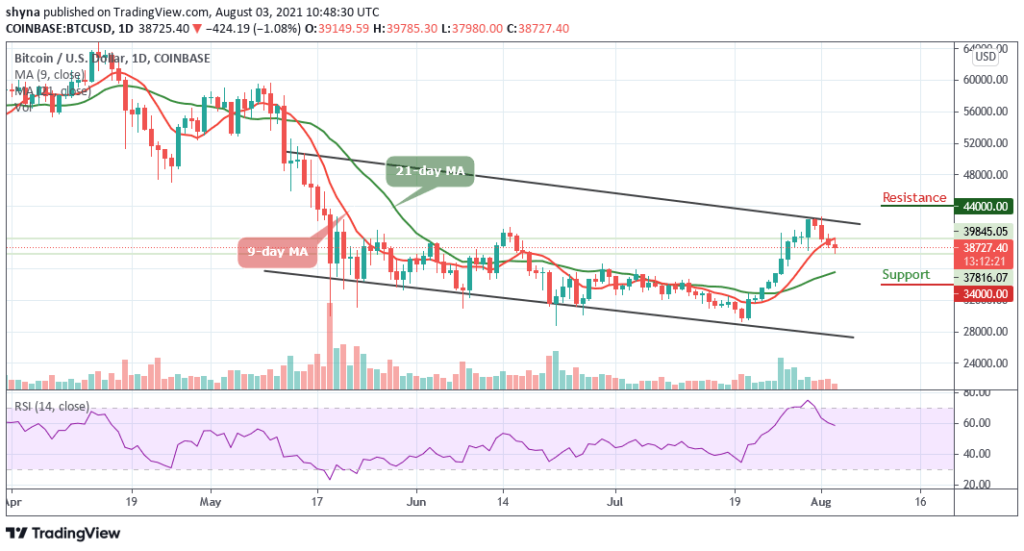 BTCUSD_1D_02082021_b