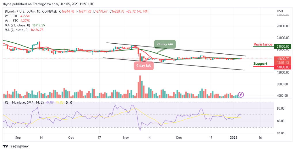 BTCUSD_1D_03012023-1024x526-1