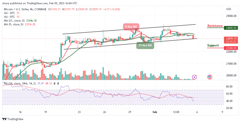 BTCUSD_1D_04022023-1024x526-1