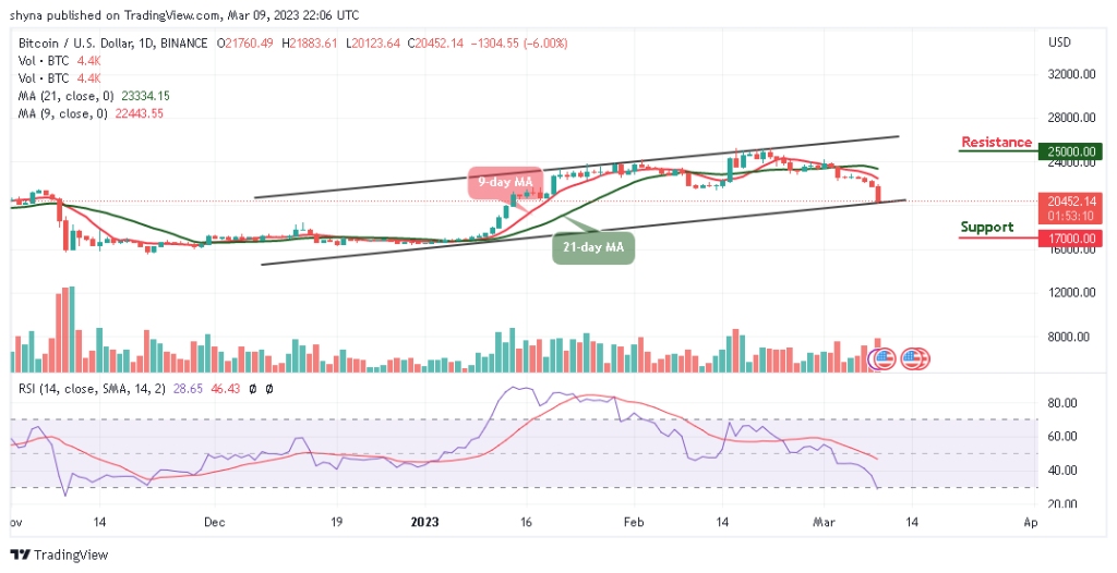 BTCUSD_1D_06032023-1024x526-1