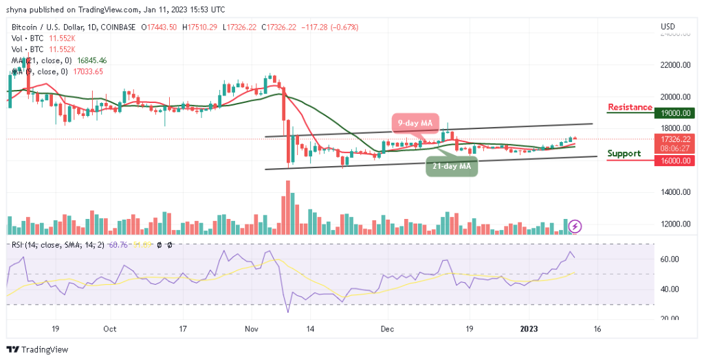 BTCUSD_1D_08012023-1024x526-1