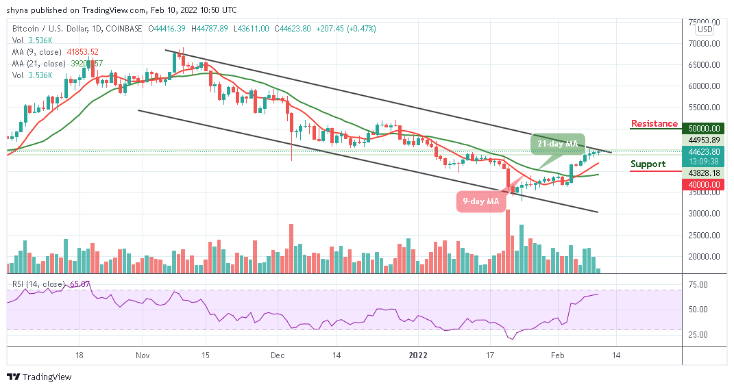 BTCUSD_1D_10022022