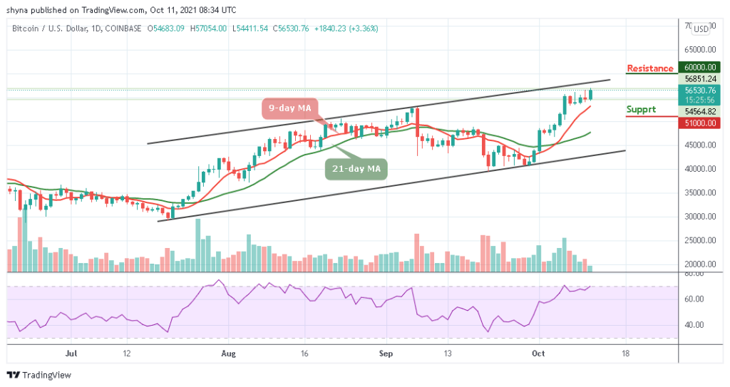 BTCUSD_1D_10102021