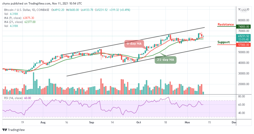 BTCUSD_1D_10112021_b
