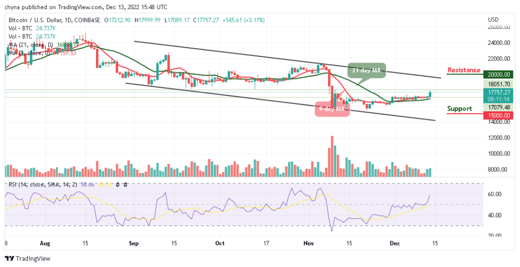 BTCUSD_1D_10122022-1024x526-1