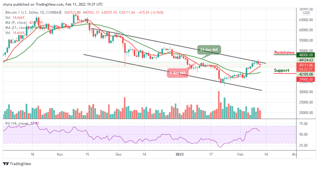 BTCUSD_1D_11022022