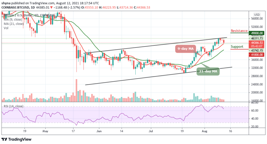 BTCUSD_1D_12082021
