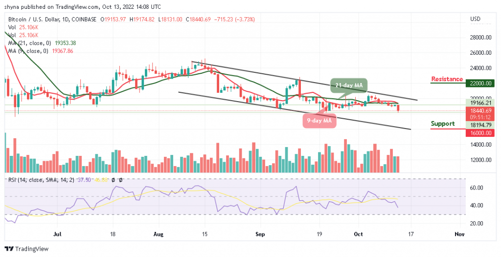 BTCUSD_1D_12102022-1024x526-1