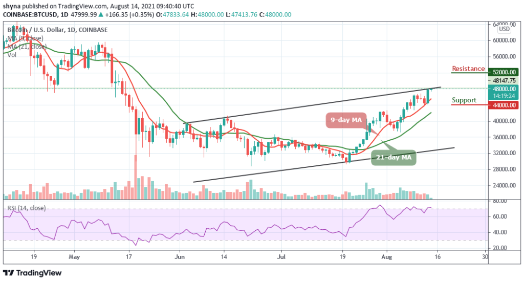 BTCUSD_1D_13082021_b