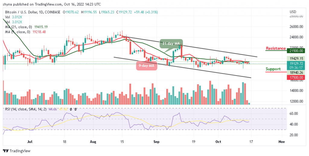 BTCUSD_1D_14102022-1024x517-1