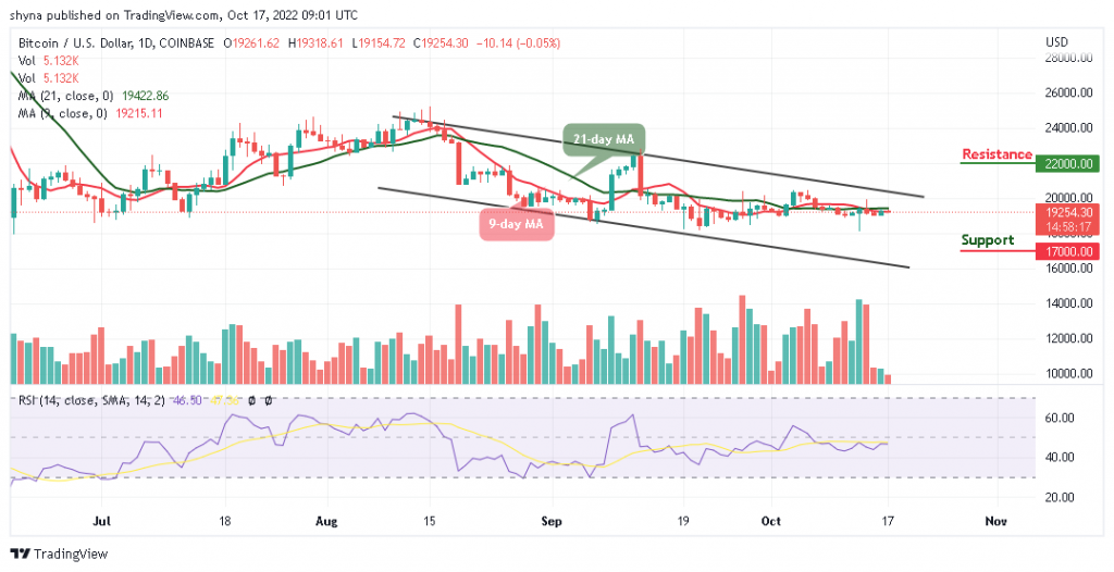 BTCUSD_1D_15102022-1024x526-1