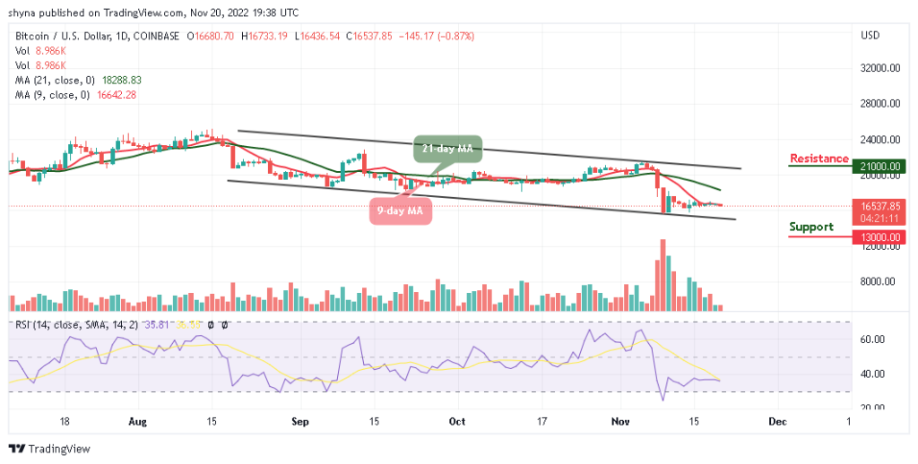 BTCUSD_1D_16112022-1024x518-1