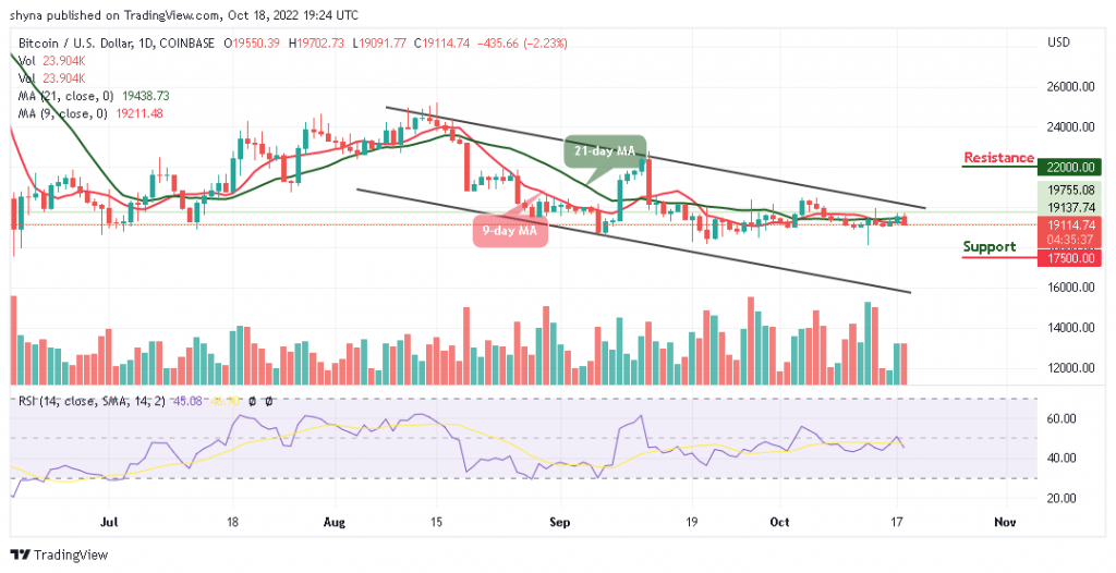 BTCUSD_1D_17102022-1024x526-1