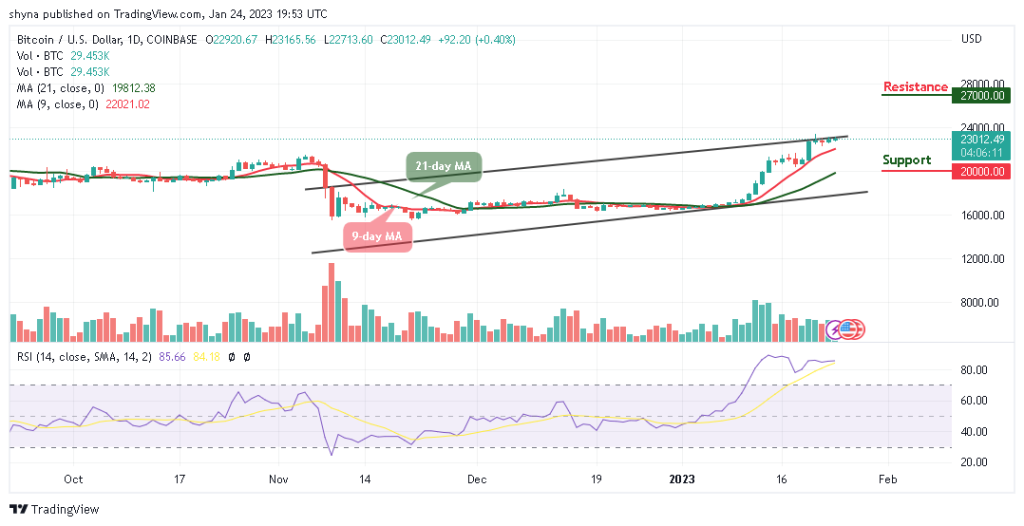 BTCUSD_1D_18012023-1024x526-1