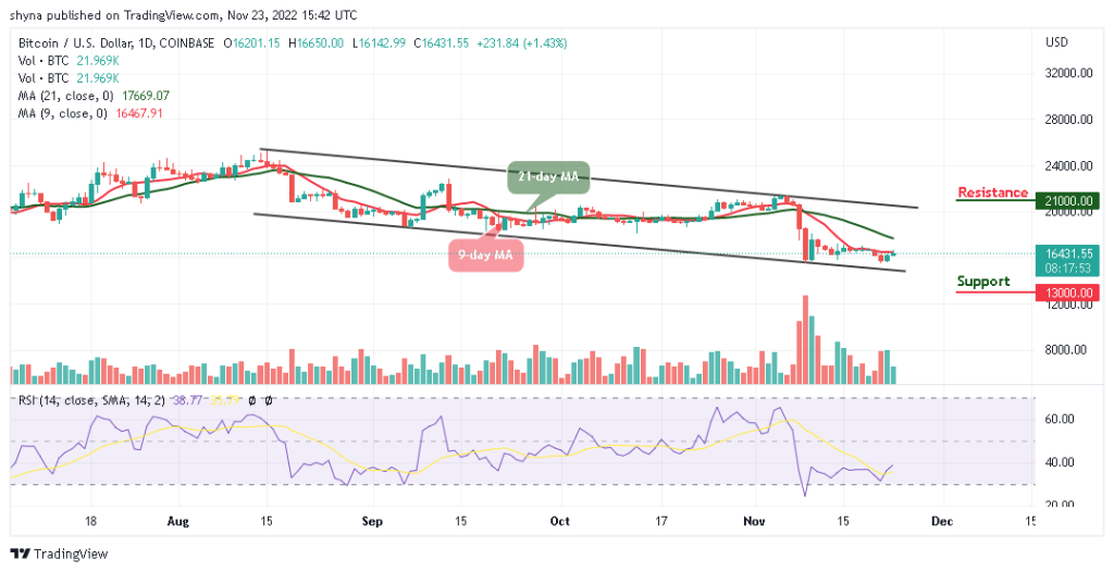 BTCUSD_1D_18112022-1024x526-1