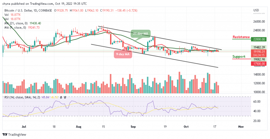 BTCUSD_1D_19102022-1-1024x526-1