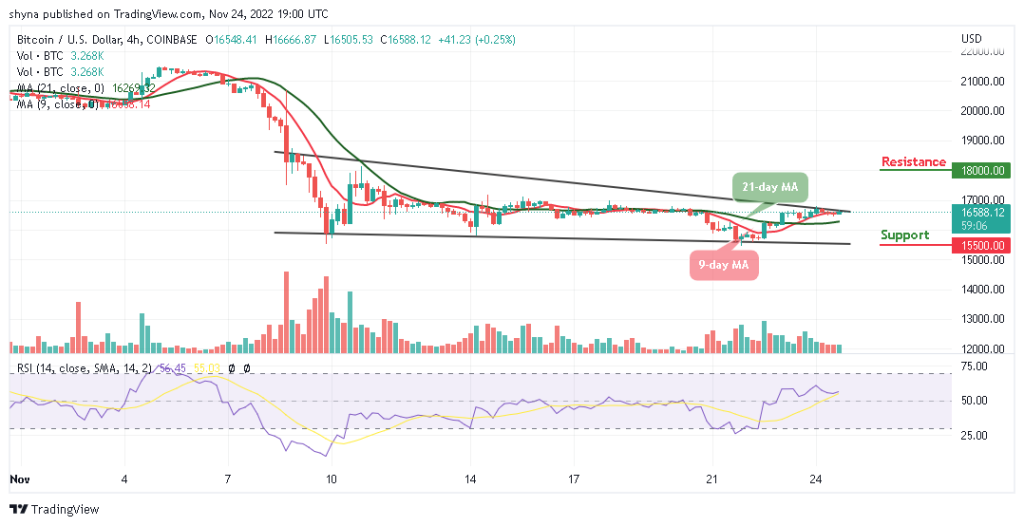 BTCUSD_1D_19112022-1024x526-1