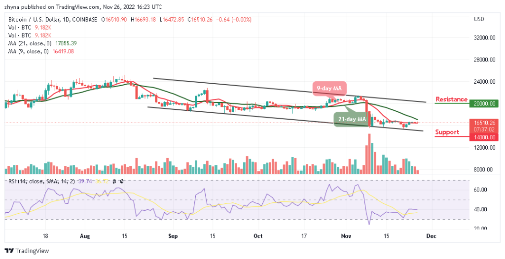 BTCUSD_1D_20112022-1024x526-1