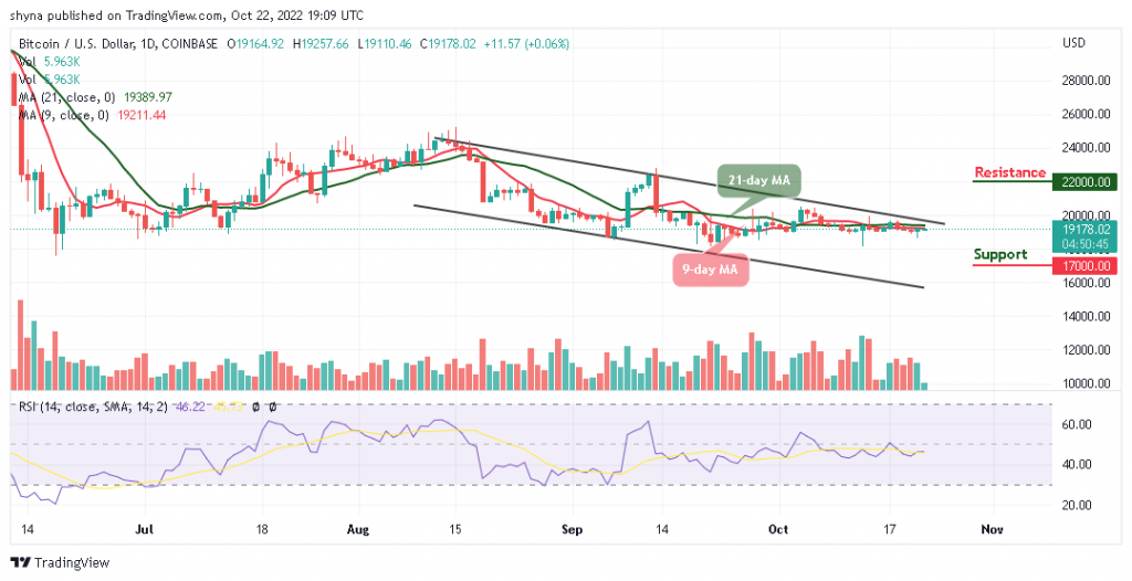 BTCUSD_1D_21102022-1024x526-1