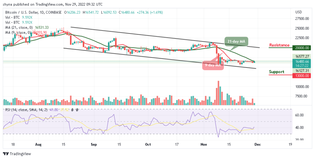 BTCUSD_1D_21112022-1024x518-1