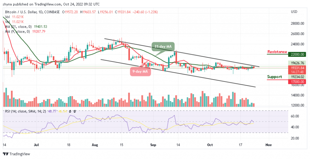 BTCUSD_1D_22102022-1024x526-1