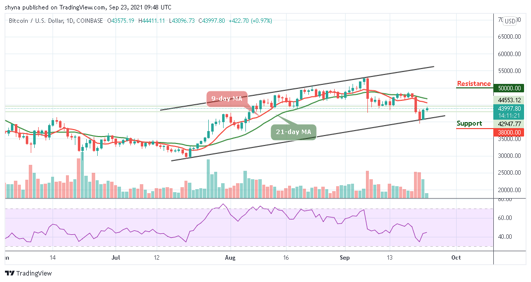 BTCUSD_1D_23092021
