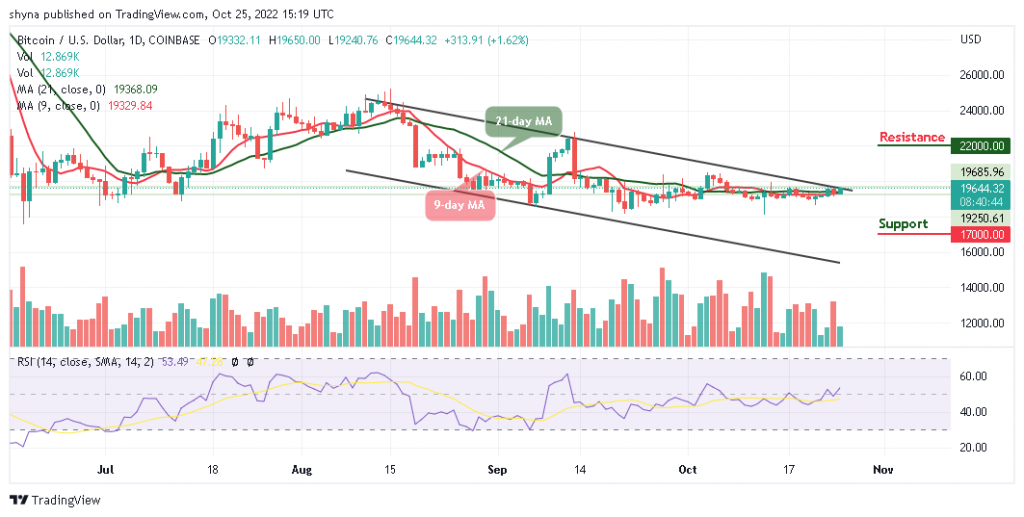BTCUSD_1D_23102022-1024x517-1