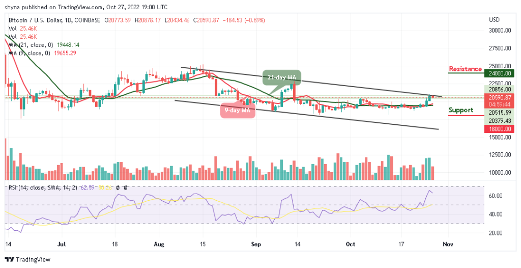 BTCUSD_1D_25102022-1024x526-1
