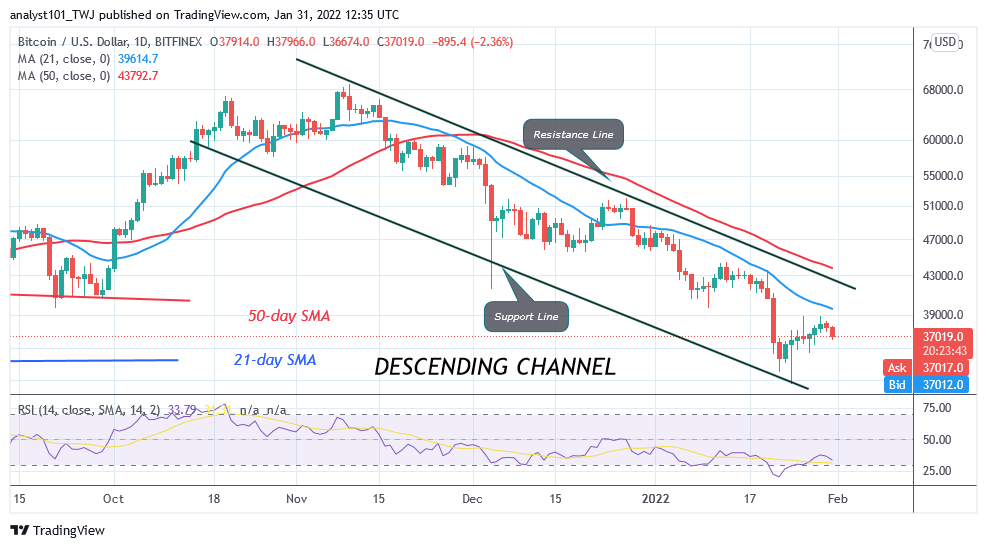 BTCUSD_Daily-Chart-JAN.-31-2
