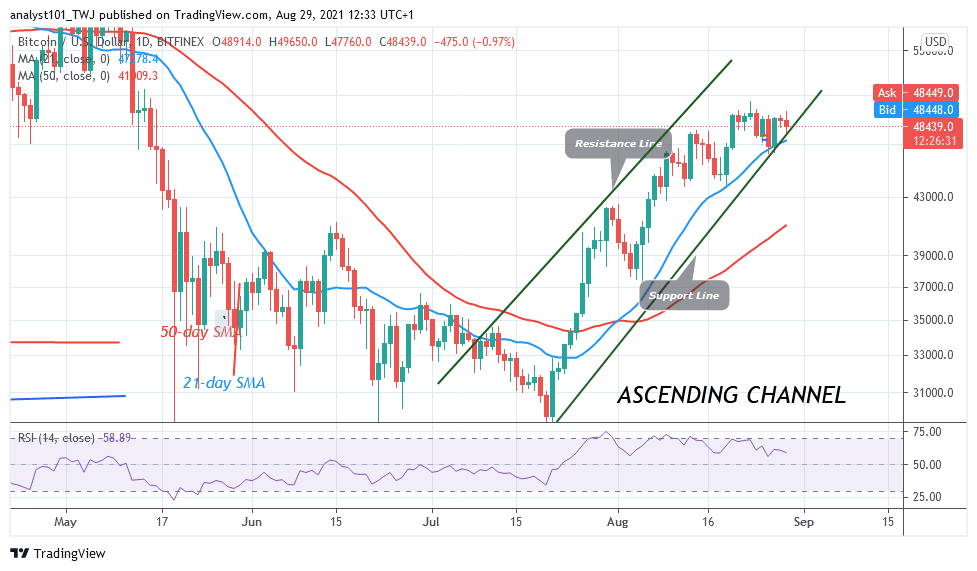 BTCUSD_Daily-Chart