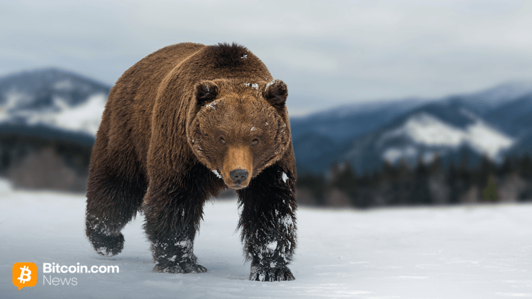 bearh-768x432-1